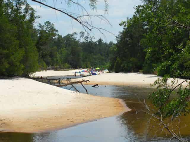 Blackwater-River-Tubing-Trip