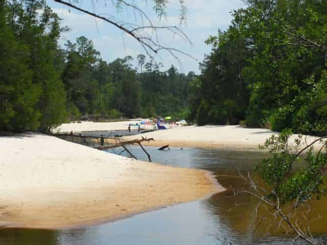 Blackwater-River-Canoe-and-Kayak-Rental