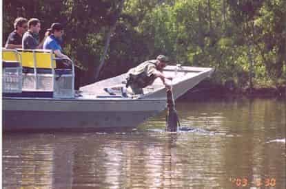 Airboat Tour From New Orleans With Optional Transportation By Louisiana Tour Company