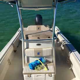 2 Hour Snorkel & Dolphin Experience with Wild Dolphin Tours