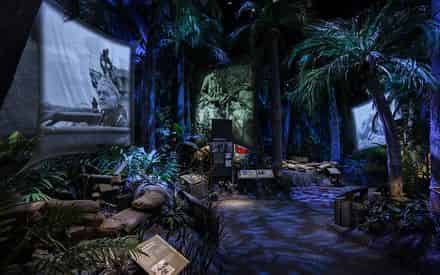 The National World War II Museum