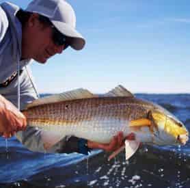 Half Day Inshore Fishing Charter with Emerald Coast Outfitters