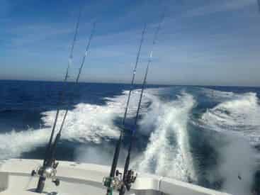Shark Fishing with PC Florida Charters