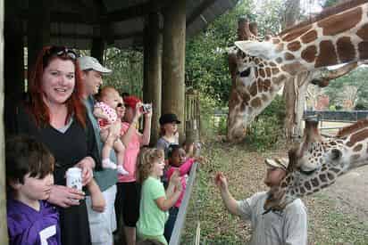 New Orleans Cool Zoo Water Park and Audubon Zoo Combo Ticket
