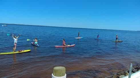 Stand Up Paddleboard Rental at LuLu's Destin
