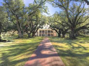 Oak Alley Plantation & Swamp Boat Combo from New Orleans Hotels