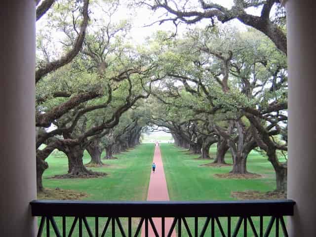 Oak-Alley-Plantation-and-Swamp-Boat-Combo-From-New-Orleans