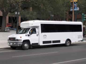 Barataria Swamp Tour from New Orleans with Optional Transportation