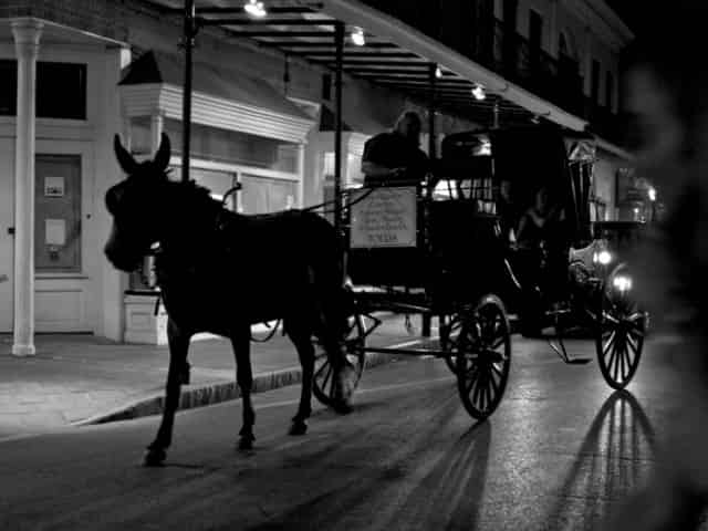 Haunted carriage hot sale ride