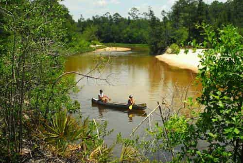 Blackwater-River-Canoe-and-Kayak-Rental