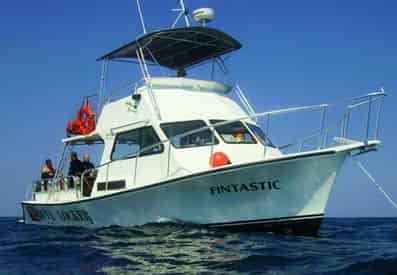 Scuba Diving Charter Trip from Panama City Beach