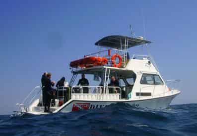 Scuba Diving Charter Trip from Panama City Beach