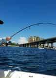 Let's Fish Destin 6-Pack Private Fishing Charter