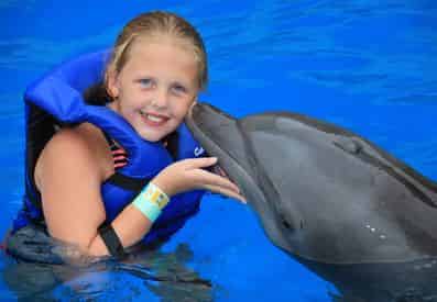 Dolphin Swim Adventure at Gulf World Marine Park