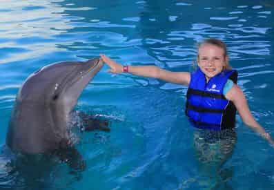 Dolphin Encounter at Gulf World Marine Park