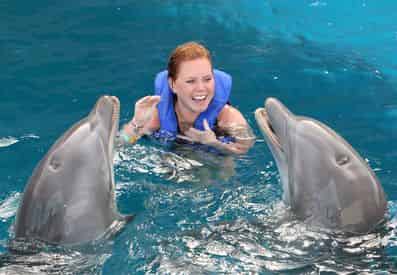 Dolphin Encounter at Gulf World Marine Park