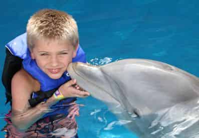 Dolphin Encounter at Gulf World Marine Park