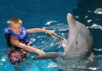 Dolphin Encounter at Gulf World Marine Park