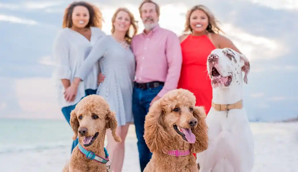 Perfect Photo Session for these Dog Lovers