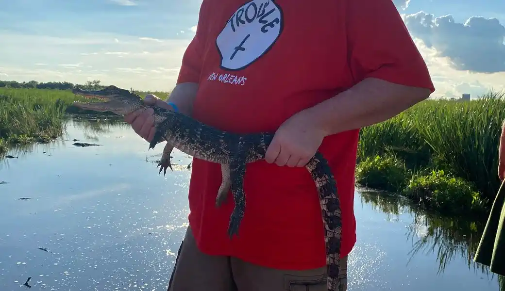 Baby gator, We all got the hold him, It was amazing