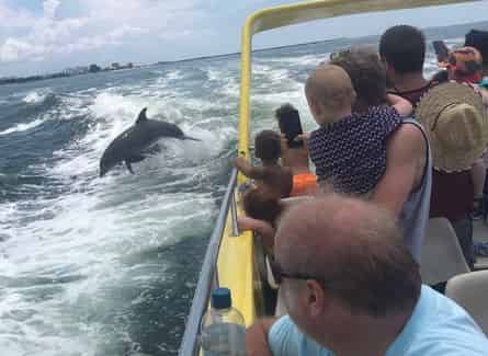 We had a lot of laughs and saw a lot of dolphins