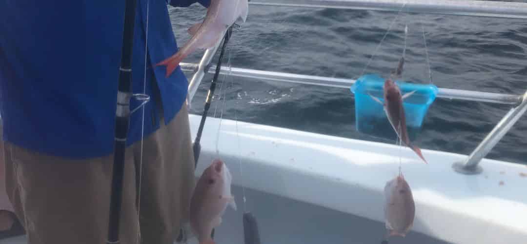 rsnider-deepseafishingcharters-july