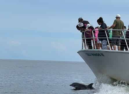 Our family loved the boat ride to see the dolphins