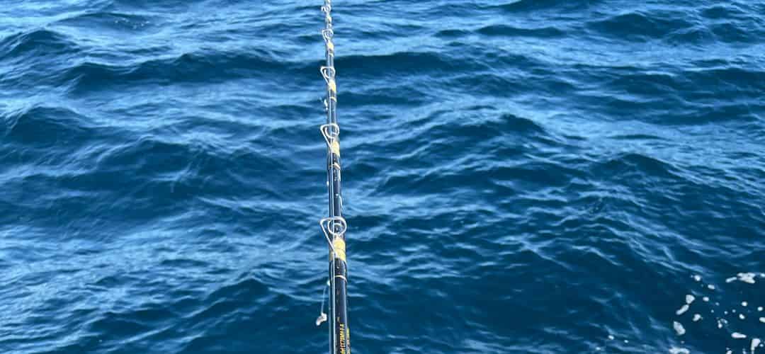 yscott-deepseafishingcharters-december